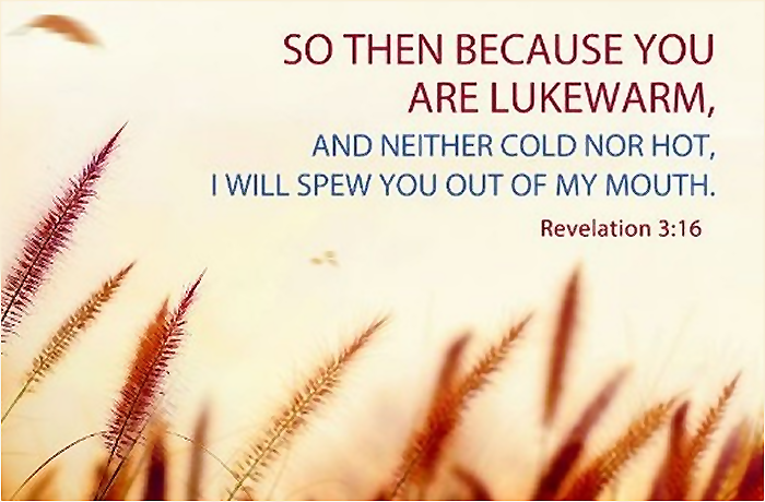 A soft, blurred background with tall grass in the foreground, featuring a quote from Revelation 3:16 about being lukewarm in faith.