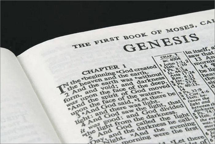 What Is Wisdom? Where Can It Be Found?
