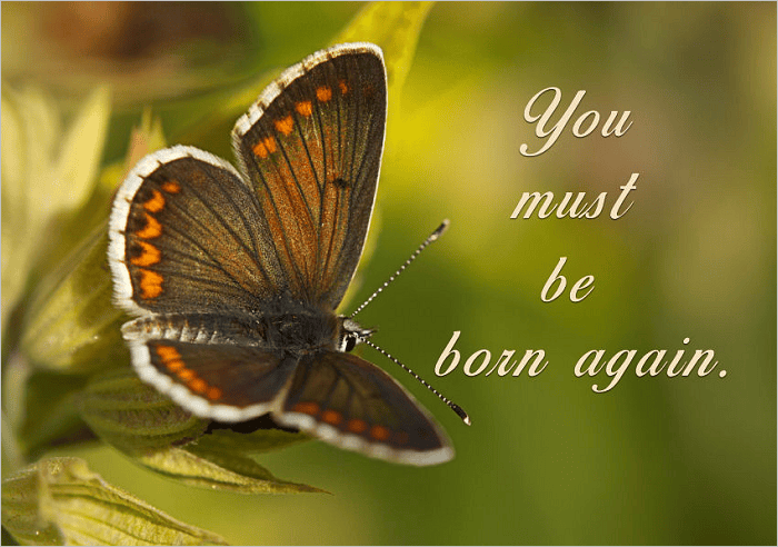 Why One MUST Be Born&nbsp;Again