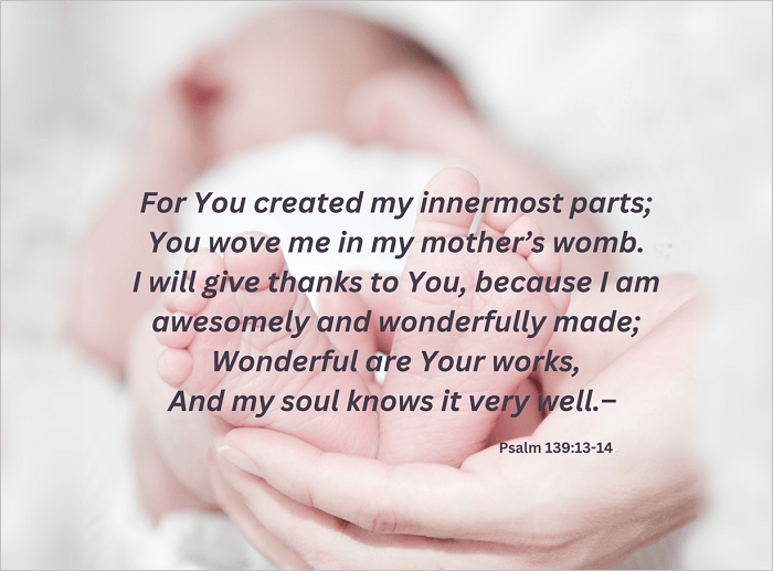 You Are Fearfully And Wonderfully&nbsp;Made