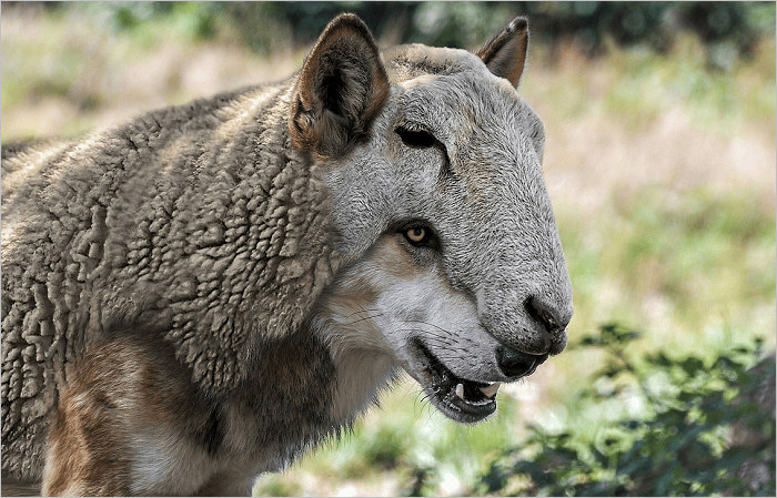 Are You Listening To False Prophets Or False Teachers?