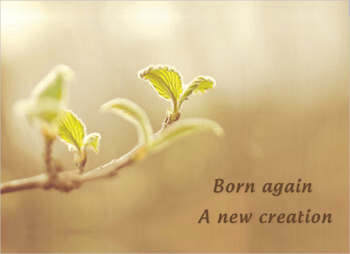 Why Win Souls?