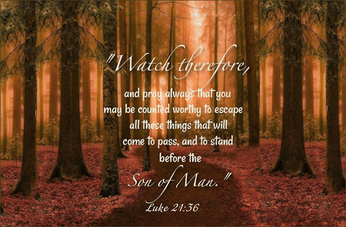 Are Pre-Tribulation Rapture Believers Escapists?