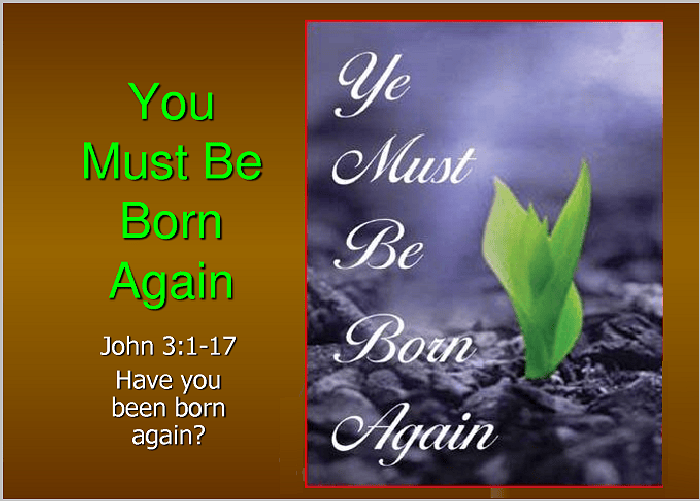 We Are All Born In A Fallen Human Nature