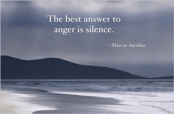 Be Wise In How You Handle&nbsp;Truth