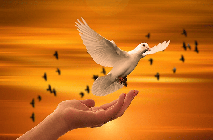 Is God Trustworthy In The Things You Dread?