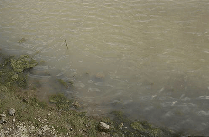 Murky Waters