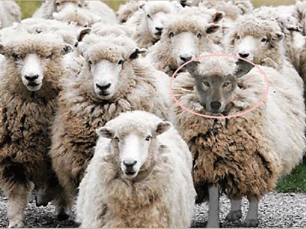 The ‘Emergent’ Teachings – Heresy And&nbsp;Compromise